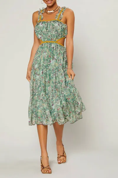 Current Air Lasalle Open Back Midi Dress In Floral Sage In Multi