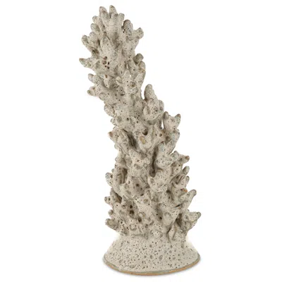 Currey & Company 17" X 6" Staghorn White Coral Object In Brown