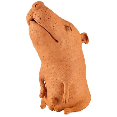 Currey & Company 23.5" Terracotta Sam The Mutt