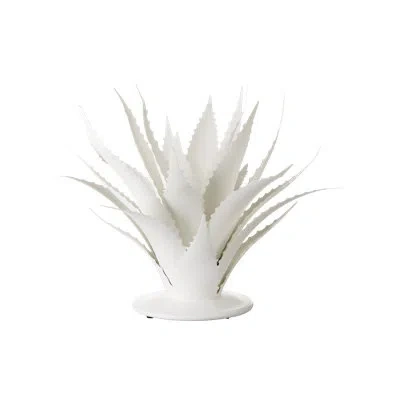 Currey & Company Agave Objet In Gesso White