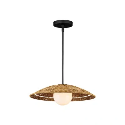 Currey & Company Barbary Outdoor Pendant In Natural