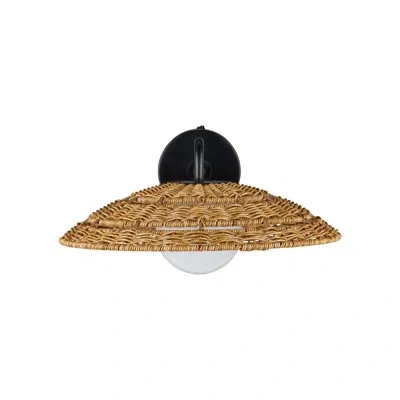 Currey & Company Barbary Outdoor Wall Sconce In Black