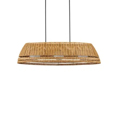 Currey & Company Barbary Oval Outdoor Chandelier In Natural;powder Coated Finish