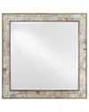 Currey & Company Hyson Medium Square Mirror