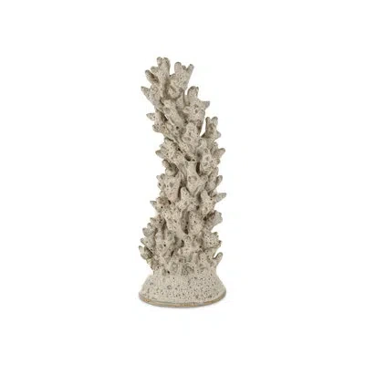 Currey & Company Staghorn Coral Object In White