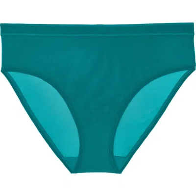 Curvy Couture Sheer Mesh High Cut Briefs In Fanfare