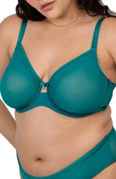 Curvy Couture Sheer Mesh Underwire Unlined Bra In Fanfare