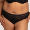 Curvy Couture Shimmer Mesh High Cut Brief- 1386 In Black