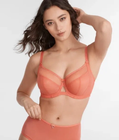 Curvy Kate Victory Side Support Bra In Papaya