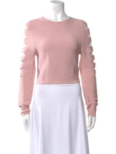 Pre-owned Cushnie Crew Neck Long Sleeve Top In Pink