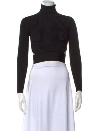 Pre-owned Cushnie Turtleneck Long Sleeve Crop Top In Black