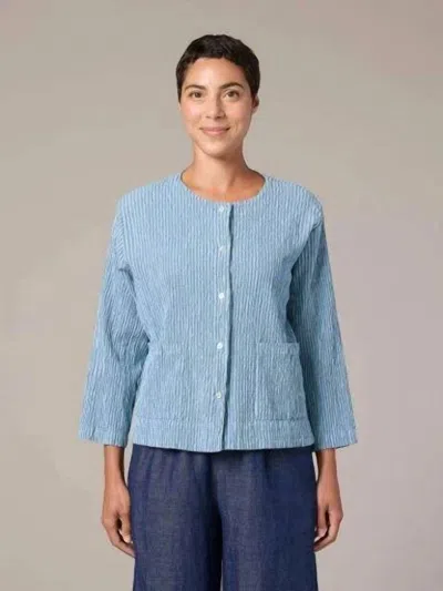 Cut Loose Striped 3/4 Sleeve Cropped Jacket In Bellflower In Multi