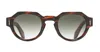 Cutler And Gross The Great Frog - Lucky Diamond I - Havana Sunglasses In Black