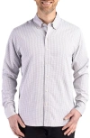 Cutter & Buck Skyline Epic Confidence Check Stretch Button-down Shirt In Purple