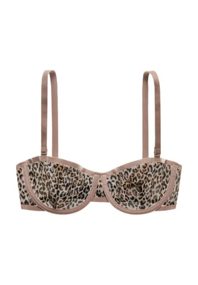 Cuup The Balconette Mesh In Animal Print
