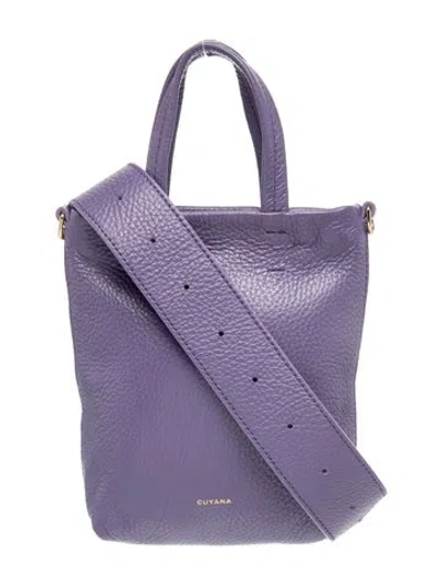 Pre-owned Cuyana Leather Bucket Bag In Purple