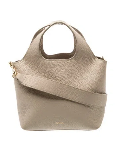 Pre-owned Cuyana Leather Top Handle Bag In Neutral