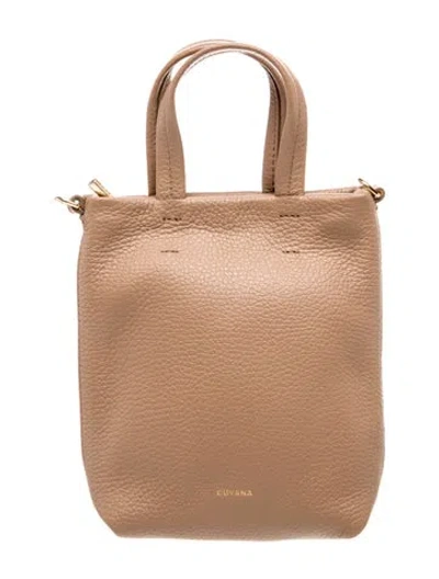 Pre-owned Cuyana Leather Top Handle Bag In Neutrals
