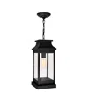 Cwi Lighting 18.25" Metal Milford 1 Light Outdoor Pendant In Black