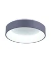 Cwi Lighting Arenal Led Flush Mount In Gray
