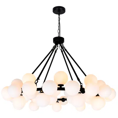 Cwi Lighting Arya 45 Light Black Chandelier