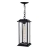 Cwi Lighting Blackbridge 1 Light Outdoor Black Pendant