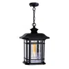Cwi Lighting Blackburn 1 Light Outdoor Black Pendant