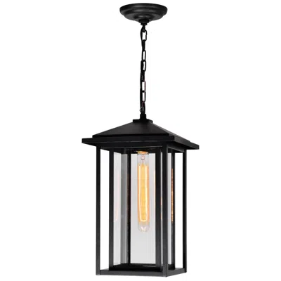 Cwi Lighting Crawford 1 Light Black Outdoor Pendant
