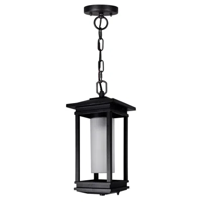Cwi Lighting Granville 1 Light Black Outdoor Hanging Light