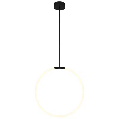 Cwi Lighting Hoops Integrated Led 24in Black Chandelier