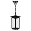 Cwi Lighting Oakwood 1 Light Outdoor Black Pendant