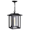 Cwi Lighting Winfield 1 Light Black Outdoor Hanging Light