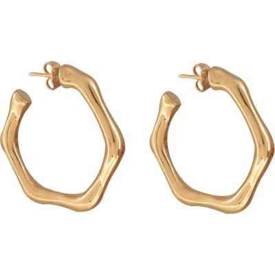 Cxc Bambú Hoop Earrings In Gold