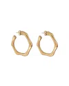 Cxc Jwear00108 Earrings In Gold