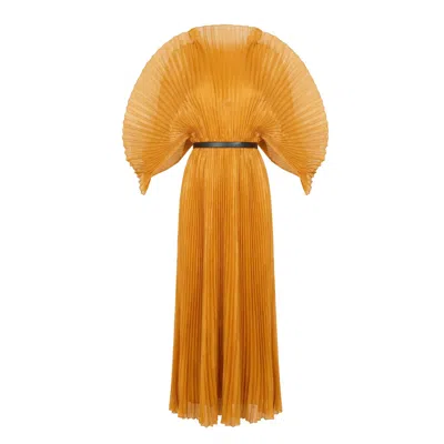 Cy Boutique Women's Pleated Long Dress With Organza Pleated Cape Sleeves In Gold