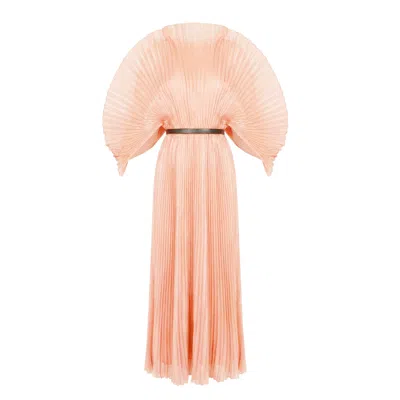 Cy Boutique Women's Pleated Long Dress With Organza Pleated Cape Sleeves In Light Pink