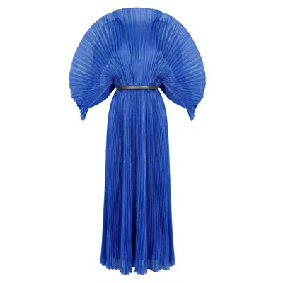 Cy Boutique Women's Pleated Long Dress With Organza Pleated Cape Sleeves In Royal Blue
