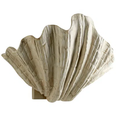 Cyan Design Shelly 13" Wide White Plaster Shell Wall Sconce