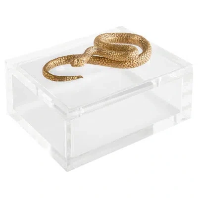 Cyan Design Snake Decorative Box In Clear,brass