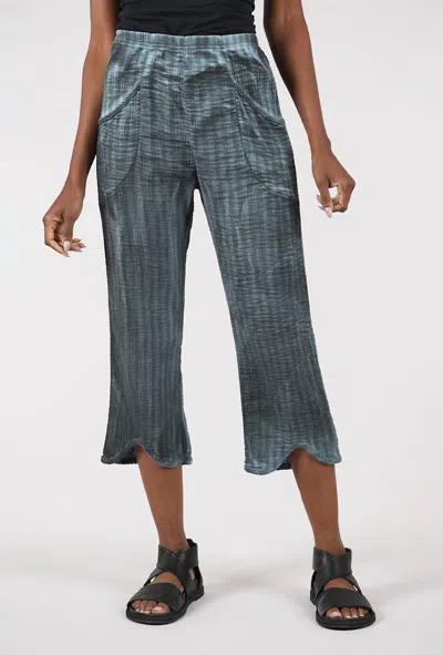 Cynthia Ashby Women's Kea Pant In Still In Gray