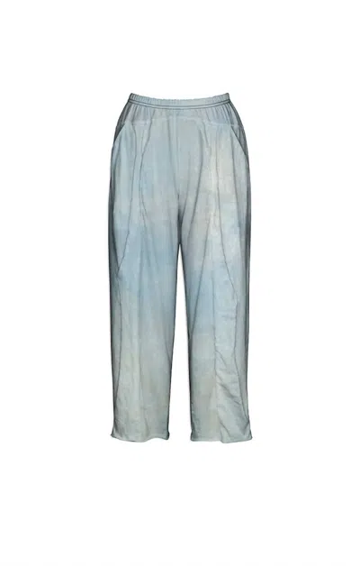 Cynthia Ashby Women's Penn Pant In Province In Blue