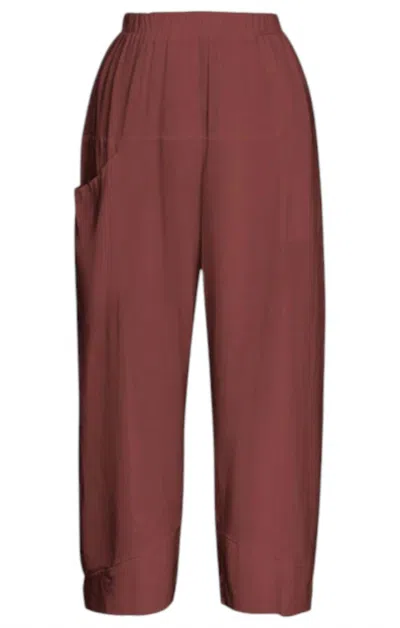Cynthia Ashby Women's Turin Pants In Cinnamon In Brown