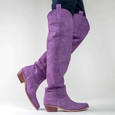 Cynthia Richard Women's Laramie Suede Boot In Lilac Purple In Multi