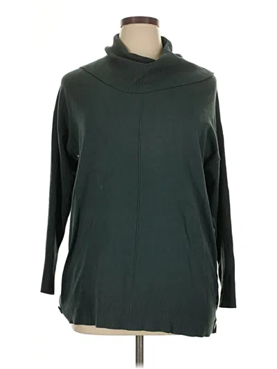 Pre-owned Cynthia Rowley Tjx Turtleneck Sweater In Green