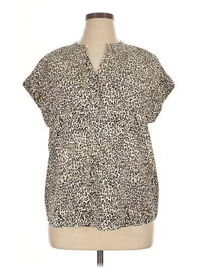 Pre-owned Cynthia Steffe Short Sleeve Blouse In Brown