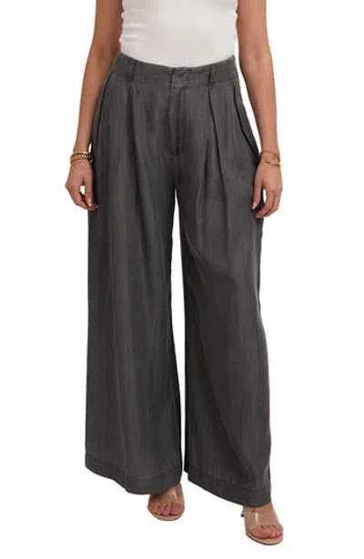 Cyrus Pleated Wide Leg Tencel Lyocell Pants In Gray