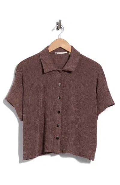 Cyrus Short Sleeve Button Front Shirt In Brown