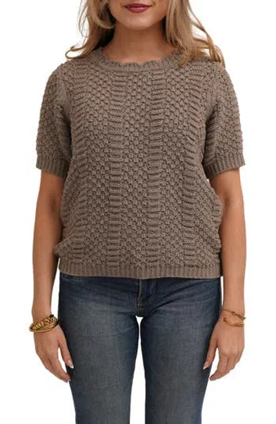 Cyrus Short Sleeve Textured Crewneck Sweater In Brown