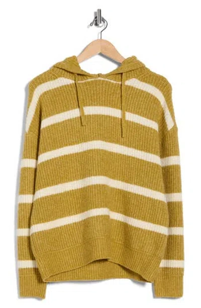 Cyrus Stripe Hooded Sweater In Green