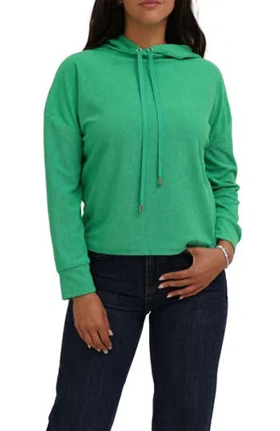 Cyrus Terry Drawstring Hoodie In Green